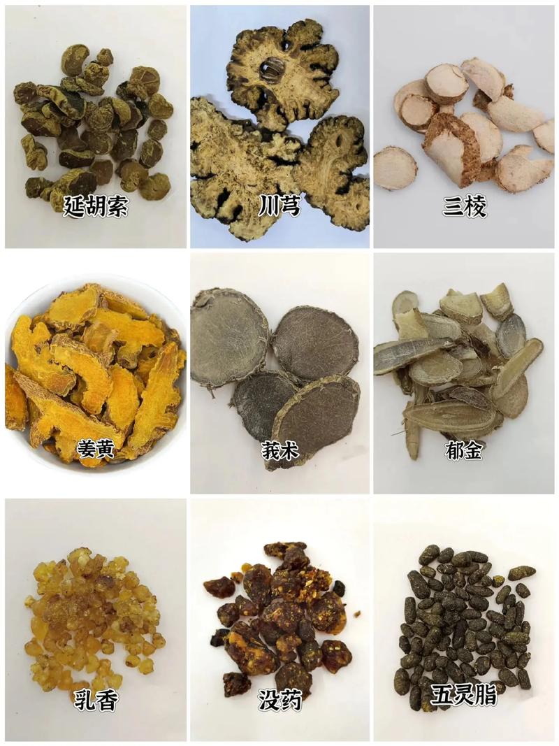 中药学和药学的区别 中药学和药学的区别
