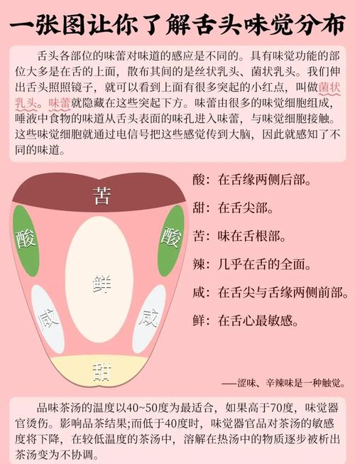 模拟味和数码味哪个好听