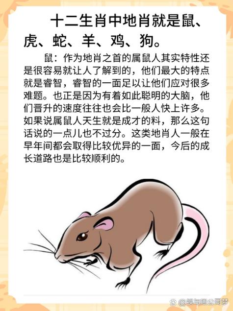 地肖准确打一生肖图标