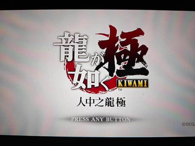 如龙极1汉化补丁