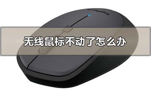鼠标下面的红灯不亮也动不了