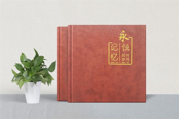 宝可梦回忆机制