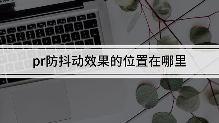 pr防抖动效果在哪里