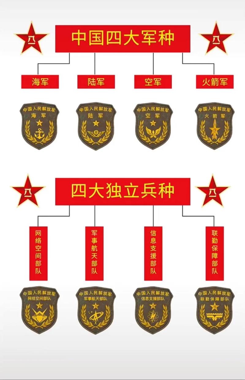 领军者自立后兵种确定