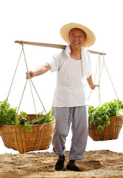 扁担是什么