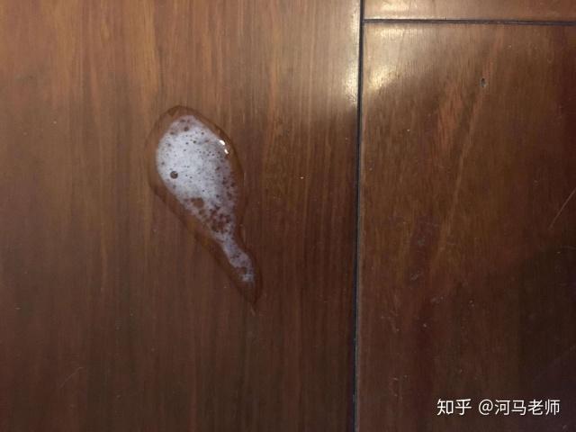 猫吐白色泡沫是猫瘟吗