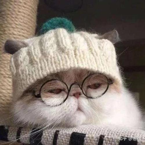 头像看出一个人的心理