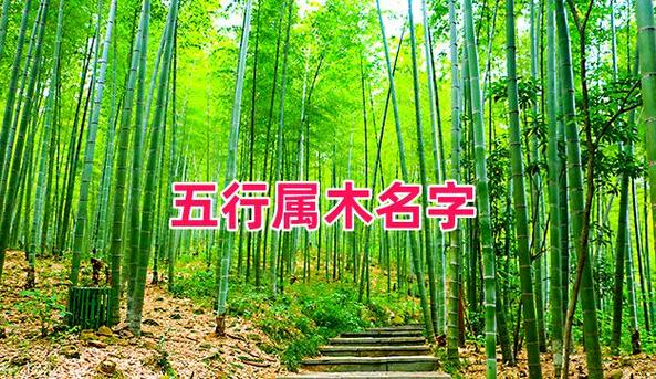 五行属木最吉利的字截图3