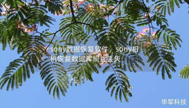 索尼相机初始化照片还在吗