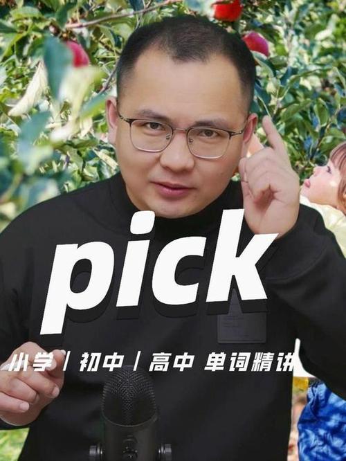 pick的中文