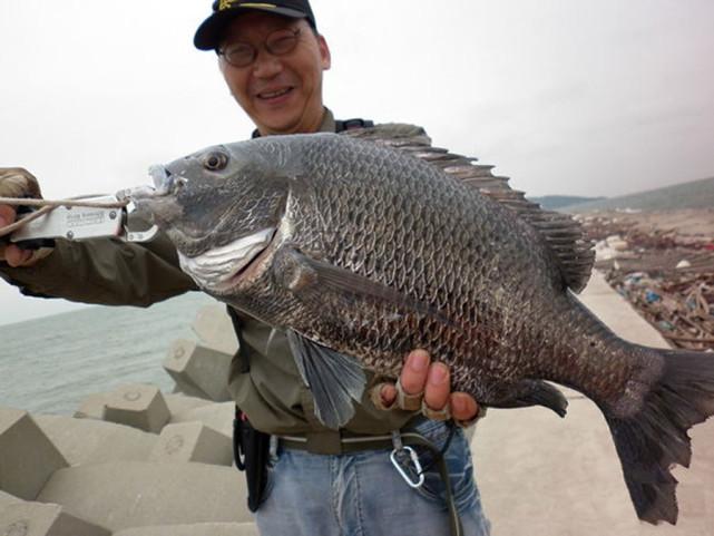 海边沙滩鱼种截图2