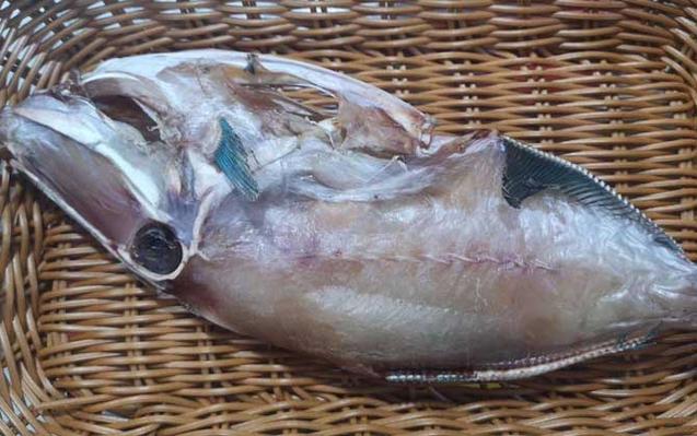 海边沙滩鱼种截图3