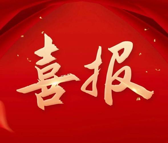 恭喜夺冠短语截图3