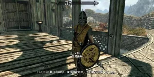 上古卷轴5亮白