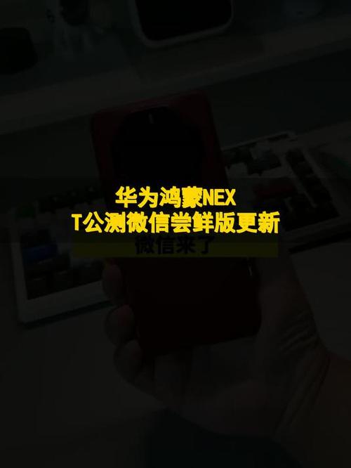 华为公测尝鲜和升级尝鲜截图2