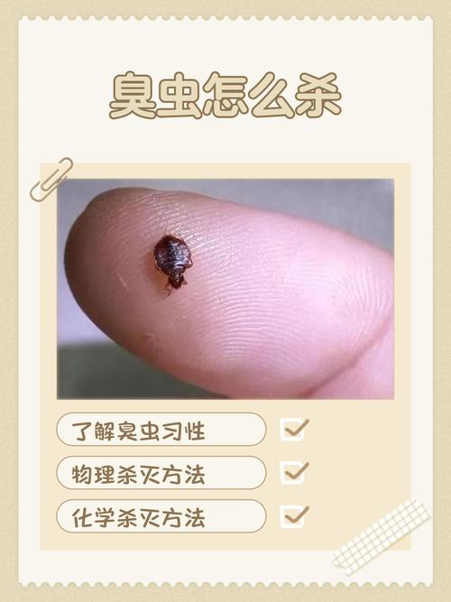 泰拉瑞亚臭虫的制作方法截图3