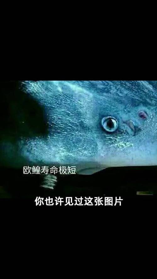 梗百科截图3