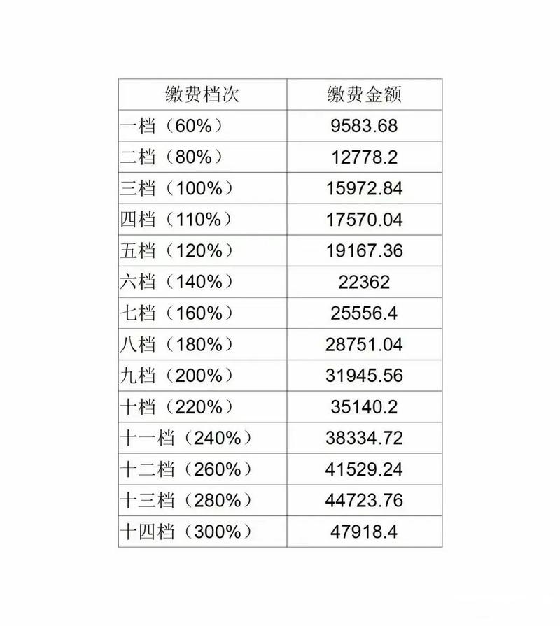 衣邦人是什么档次截图3