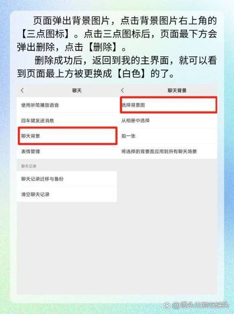 字体怎么变成白色的了