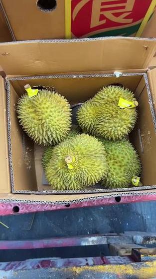 泰国的榴莲多少钱一斤截图1