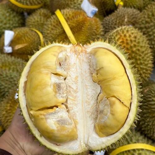 泰国的榴莲多少钱一斤截图2