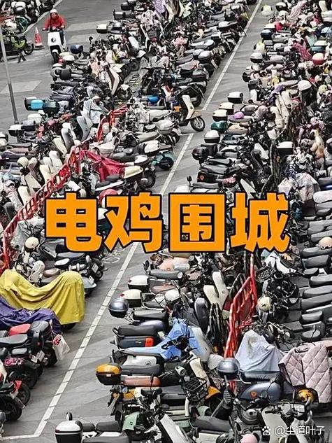 深圳整治电鸡乱象查处85人