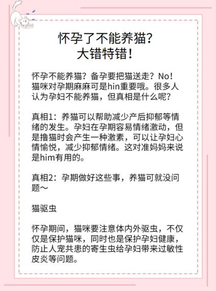 怀孕期间可以养猫吗