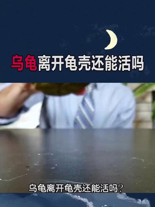 乌龟死后龟壳可以留吗