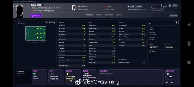 FM2026中文破解版pc