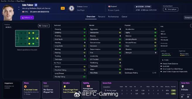 FM2026中文破解版pc截图2