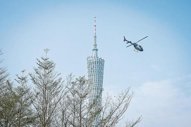 2026今天羊城晚报截图3