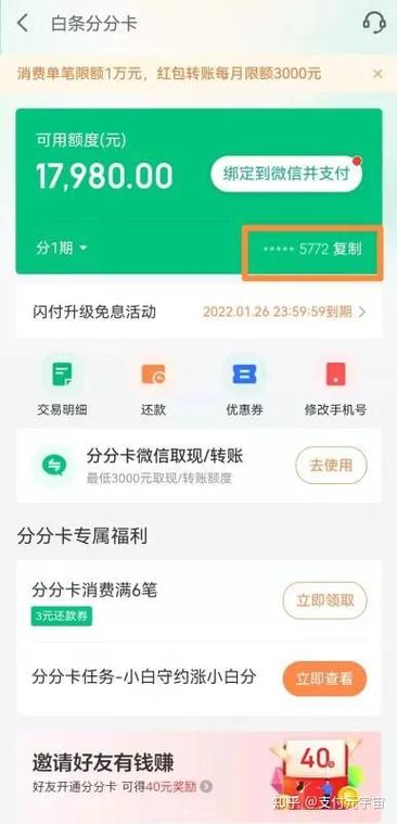 白条闪付不能支付