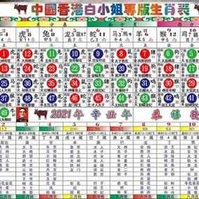 万能表开过什么生肖截图3