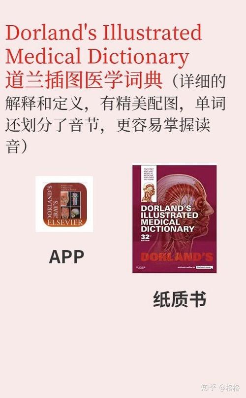 医学英语词典app截图3
