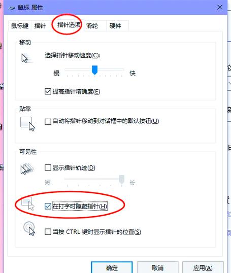 光标点上后,一打字就闪退截图1