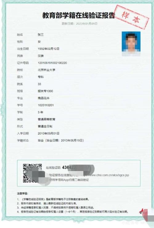 学籍学历在线验证报告查询截图3