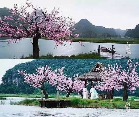 折颜怎么知道墨渊喜欢白浅