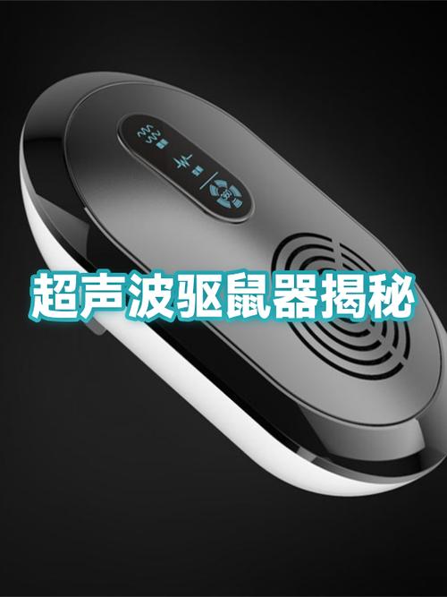 什么气味可以驱赶老鼠