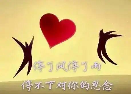 你是我心心念念的人截图3
