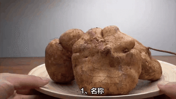 地瓜视频官方正版介绍截图3