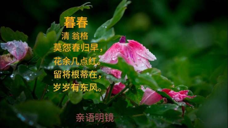 古诗暮春 古诗暮春