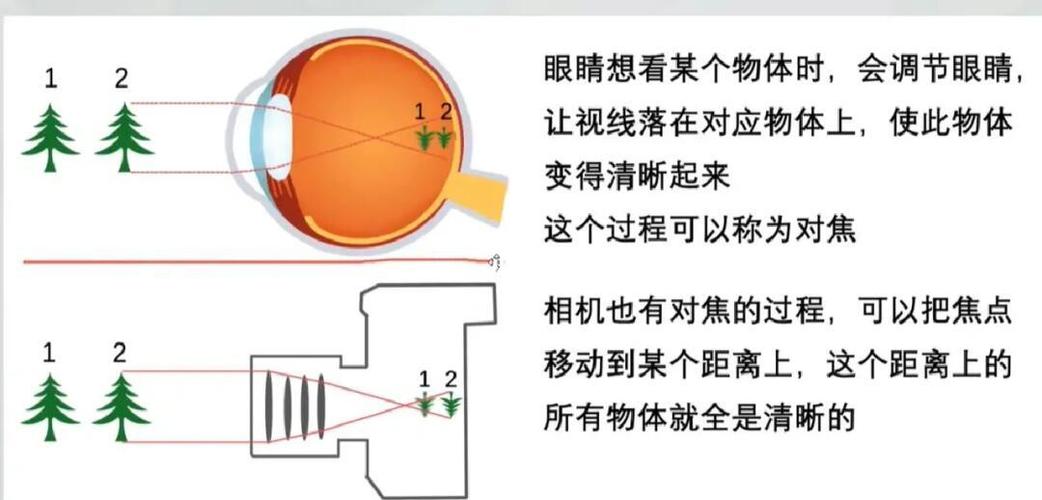 手机横屏拍摄的时候眼睛怎么对焦