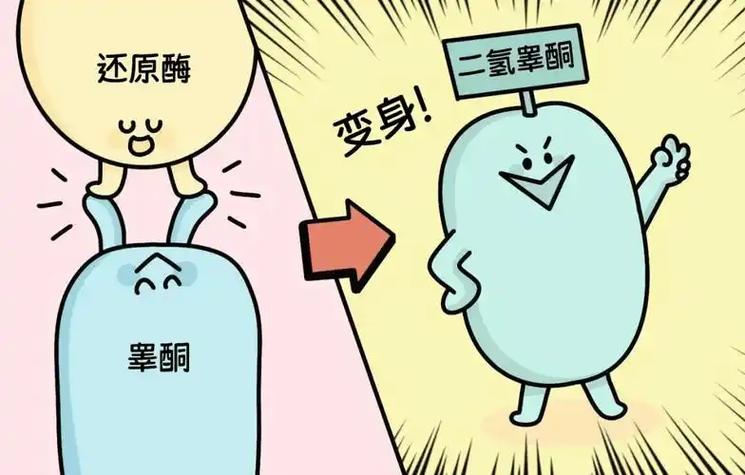 性功能与寿命的关系 研究