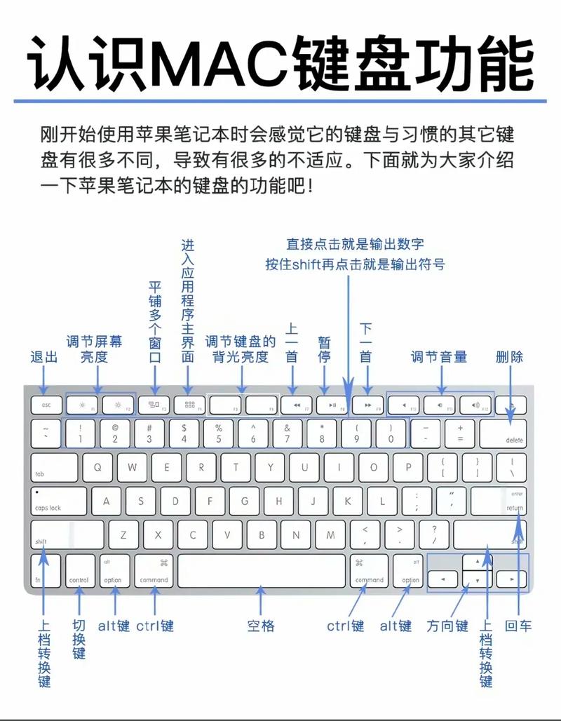 苹果输入键盘怎么变大