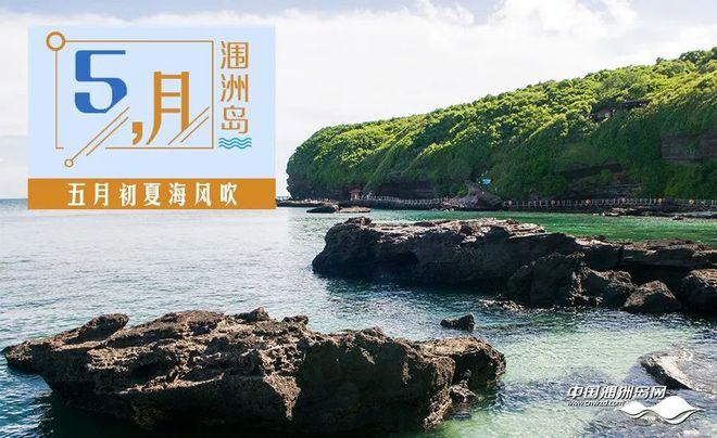 欢迎来到南方岛汉化版