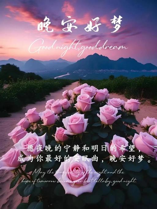 暖心的短句截图3