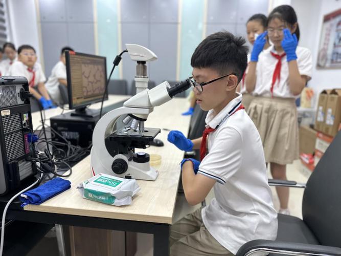 微生物实验视频