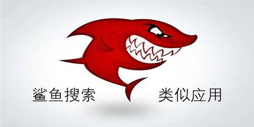 鲨鱼搜索改名叫什么