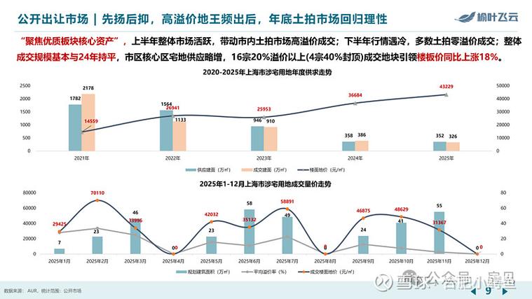 逐月政策2026最新消息截图2