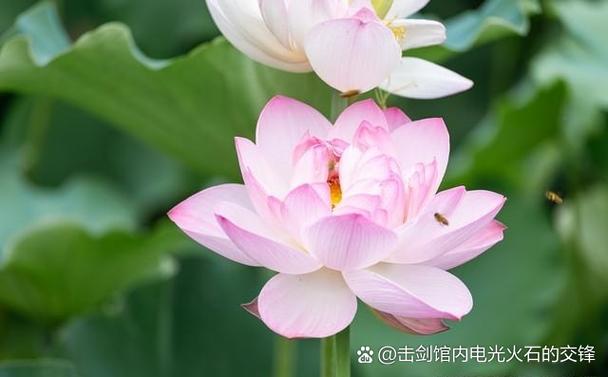 提醒少说话图片